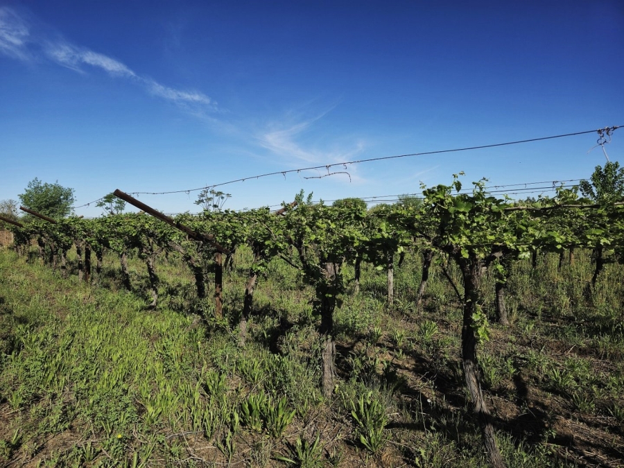 Commercial Property for Sale in Keimoes Rural Northern Cape